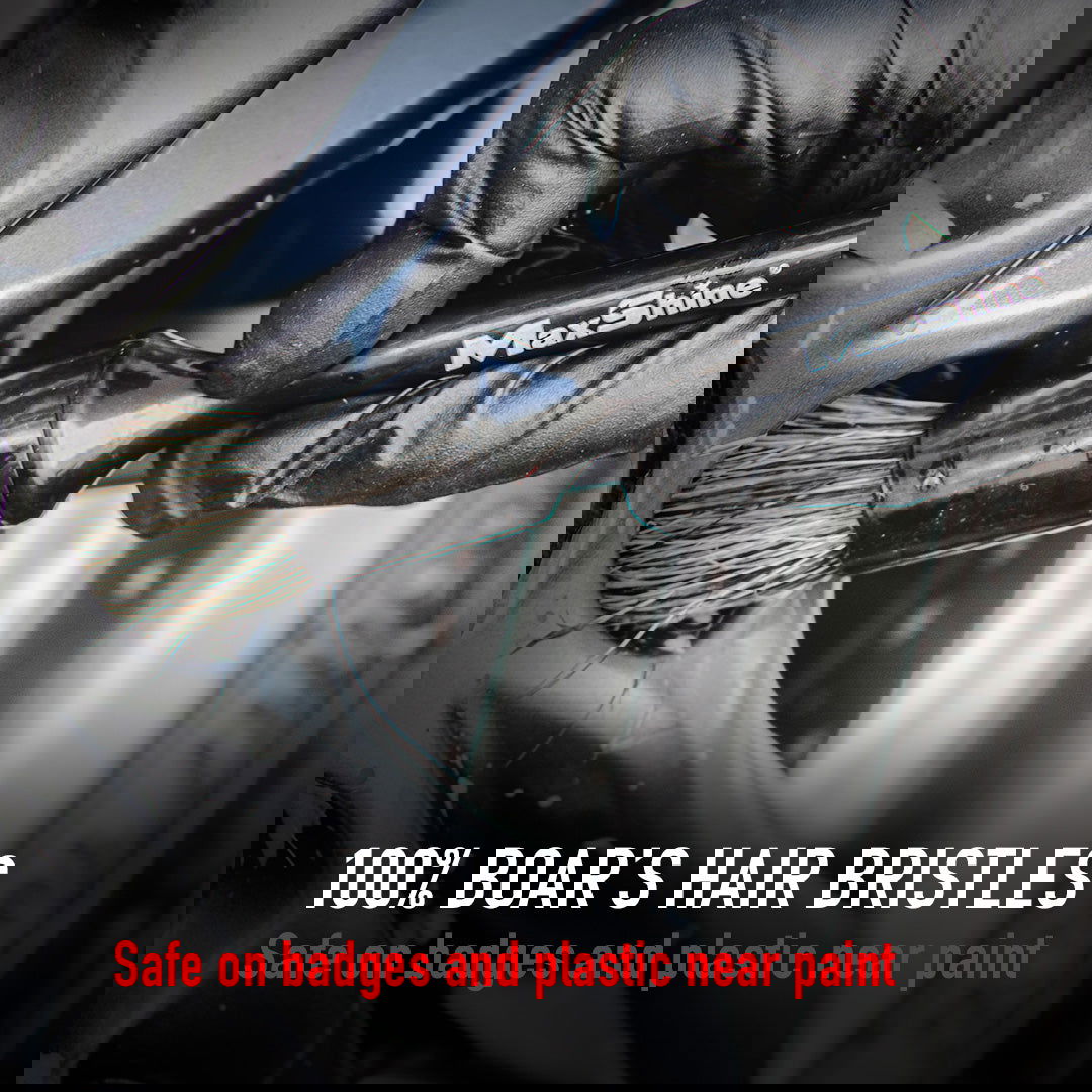 Maxshine Boar Hair 10 Detail Brush - PDP