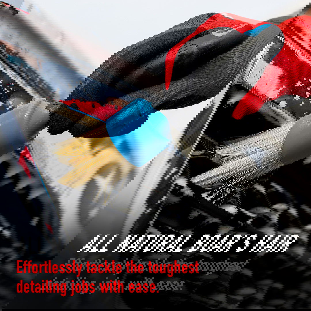 Maxshine Stubby Boars Hair Detail Brush - PDP